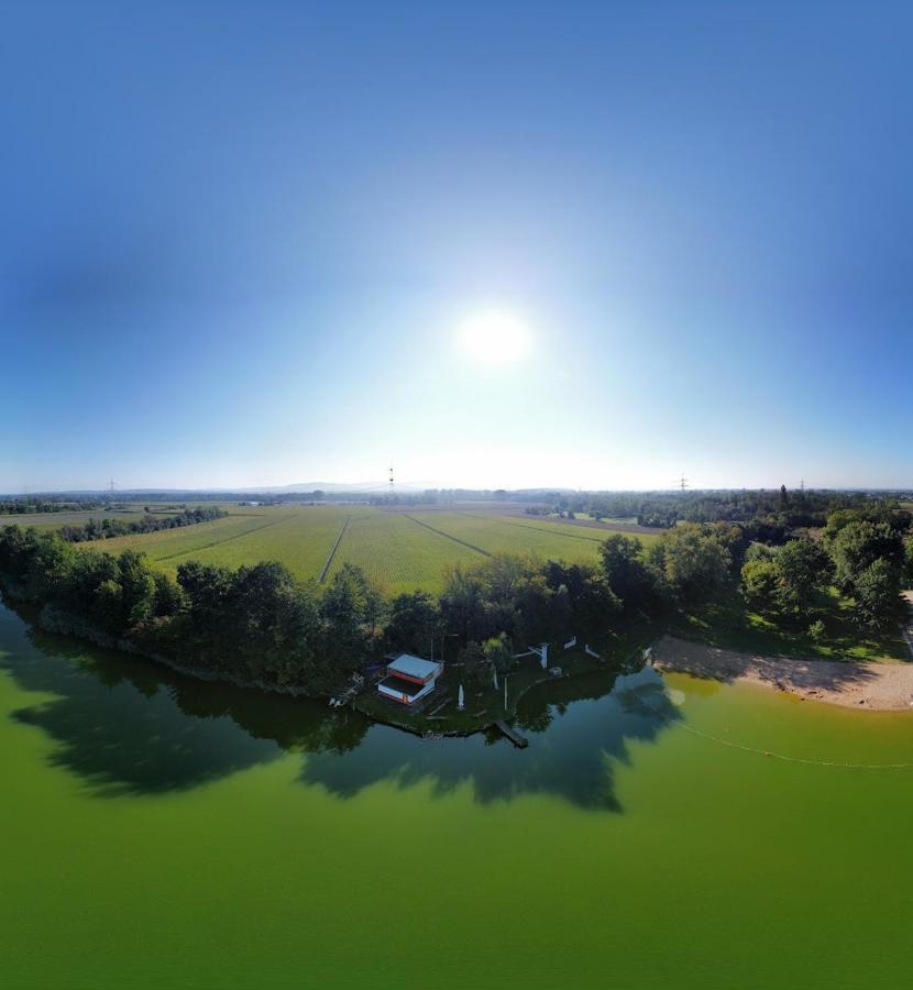 River View Near Frankfurt -- 3 Zimmer -- 4 Betten Und 1 Groesse Schlafcouch Hainburg 外观 照片